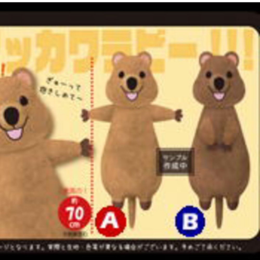 New Big Quokka Plush 70cm Toreba Japan (B Plush Only)